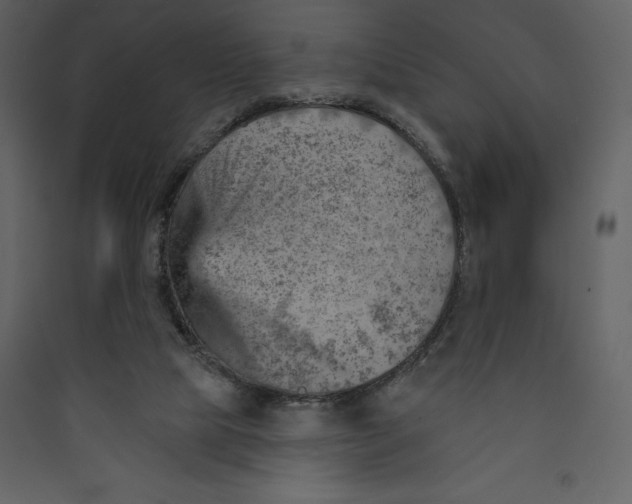 X0000089380065200707131707