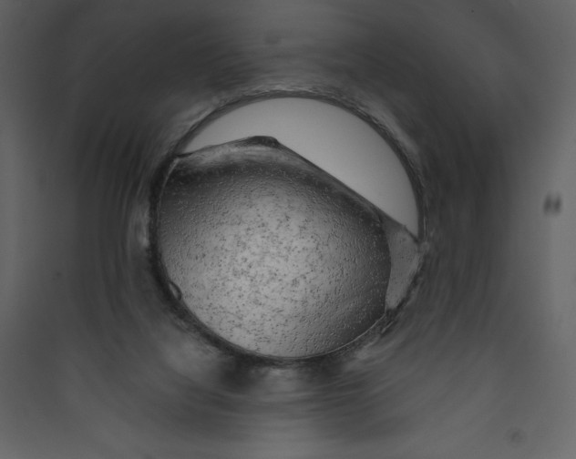 X0000089380068200707131707