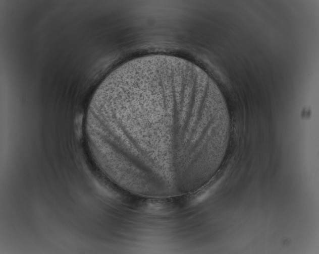 X0000089380070200707131707