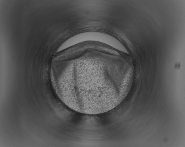 X0000089380073200707131707