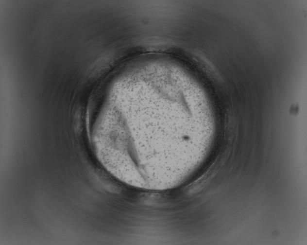 X0000089380074200707131707