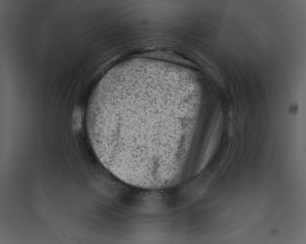 X0000089380075200707131707