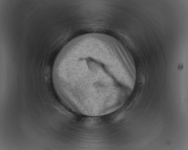 X0000089380077200707131707