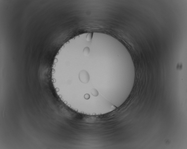 X0000089380079200707131707