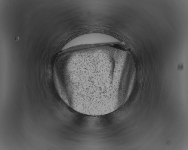 X0000089380085200707131707