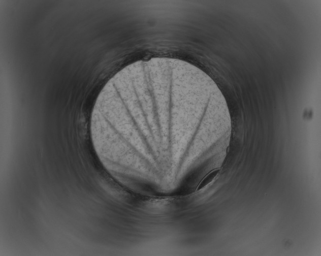 X0000089380086200707131707