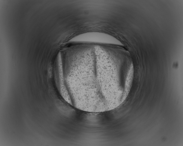 X0000089380090200707131707