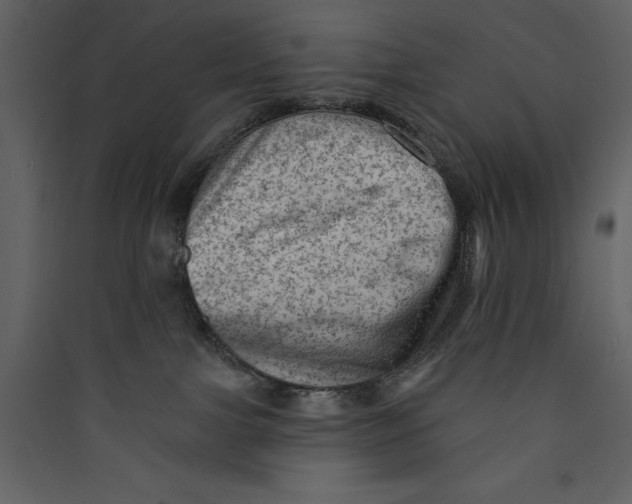 X0000089380091200707131707