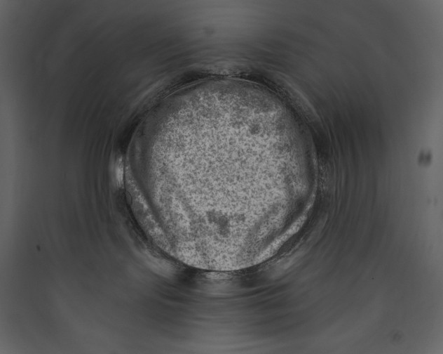 X0000089380095200707131707