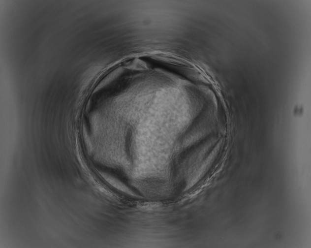 X0000089380097200707131707