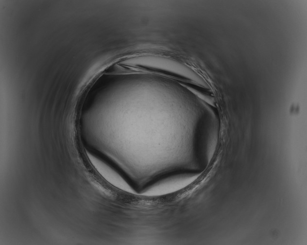 X0000089380101200707131707