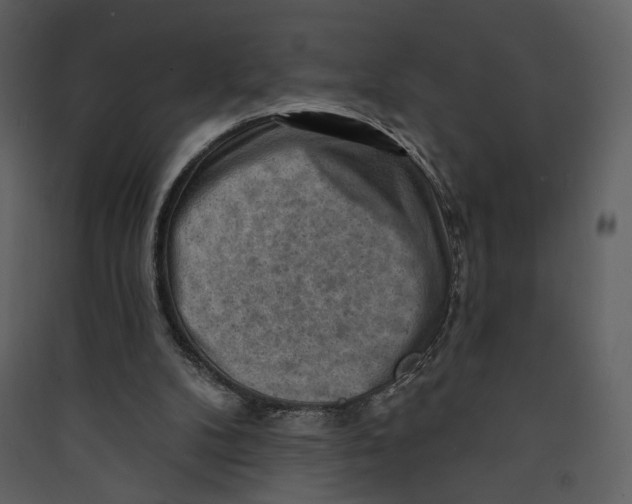 X0000089380104200707131707