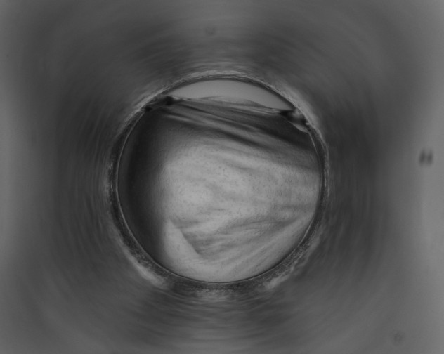 X0000089380105200707131707