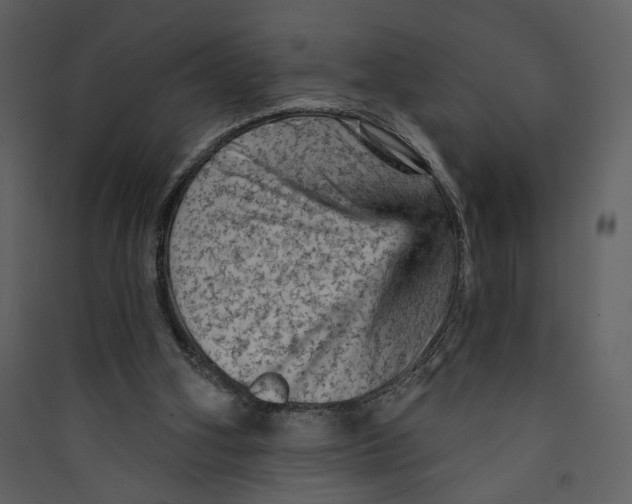 X0000089380106200707131706