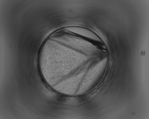 X0000089380107200707131706