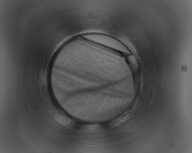 X0000089380108200707131706