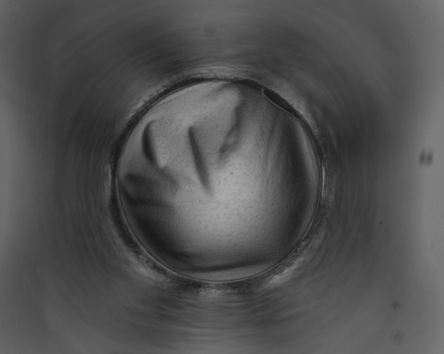 X0000089380109200707131706