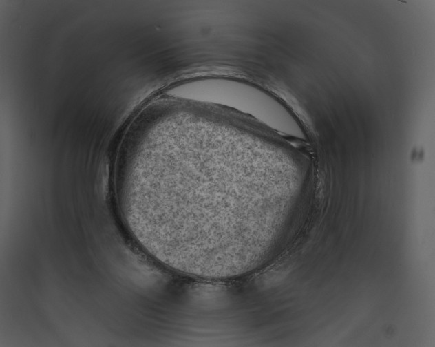 X0000089380110200707131706