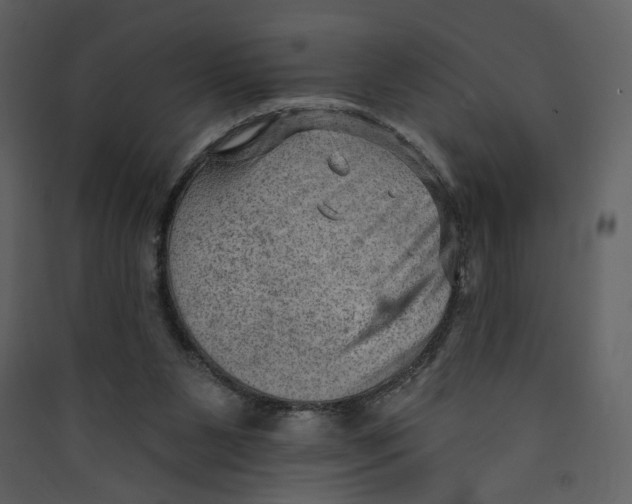 X0000089380111200707131706