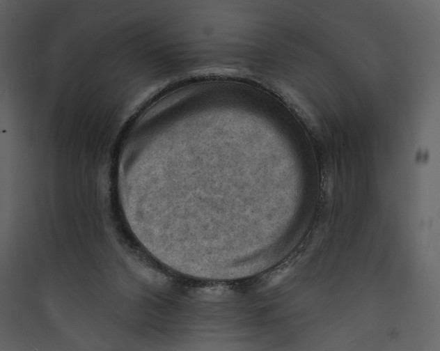 X0000089380112200707131706