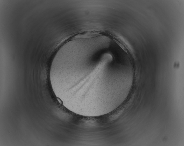 X0000089380113200707131706