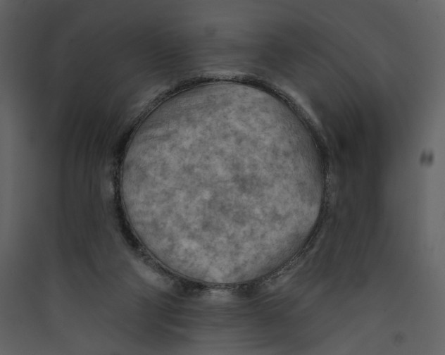 X0000089380114200707131706