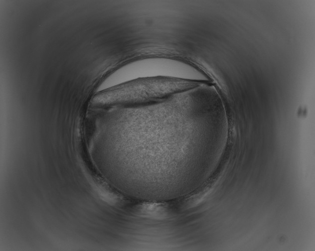 X0000089380117200707131706