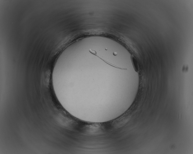 X0000089380118200707131706