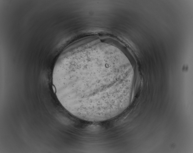 X0000089380119200707131706