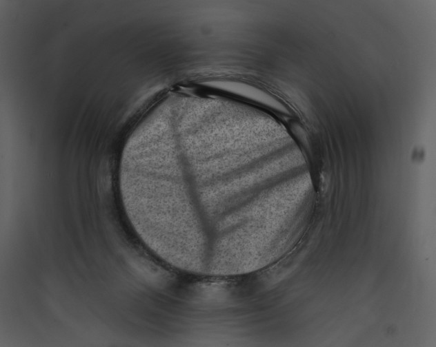 X0000089380120200707131706