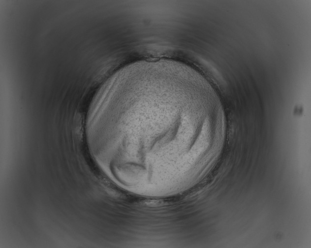 X0000089380121200707131706