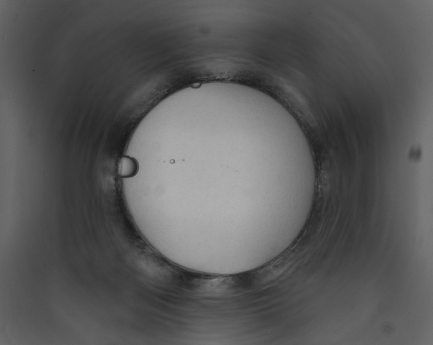 X0000089380122200707131706