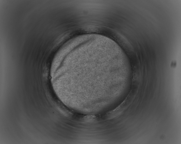 X0000089380124200707131706