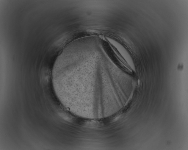 X0000089380125200707131706