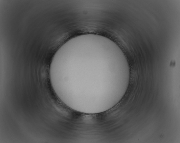 X0000089380126200707131706