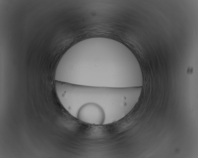 X0000089380127200707131706