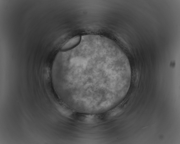 X0000089380130200707131706