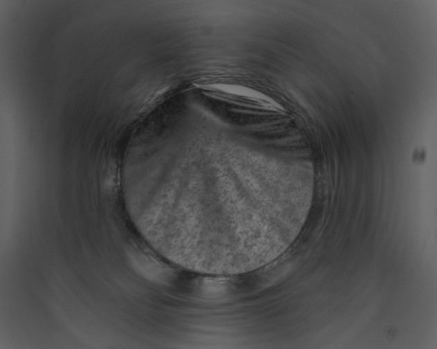 X0000089380134200707131706