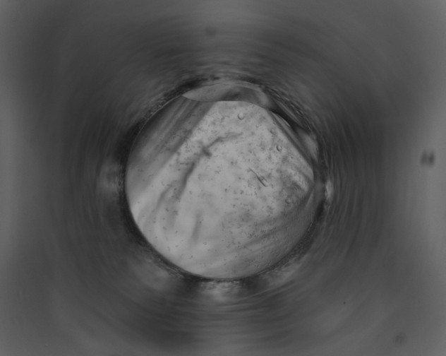 X0000089380135200707131706