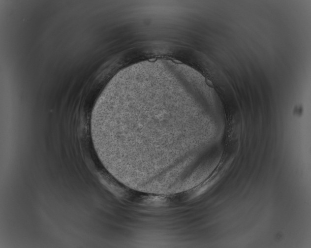 X0000089380140200707131706