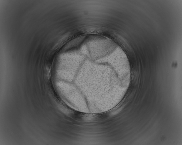 X0000089380142200707131706