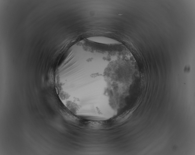 X0000089380143200707131706