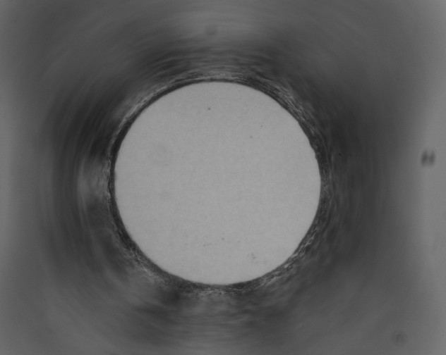 X0000089380146200707131705