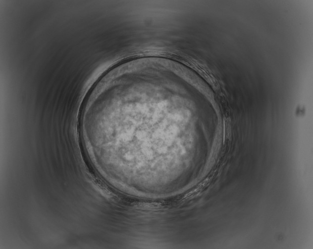 X0000089380147200707131705