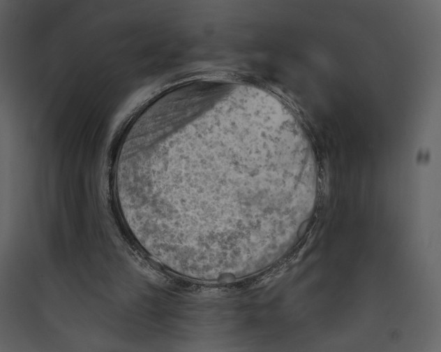 X0000089380149200707131705