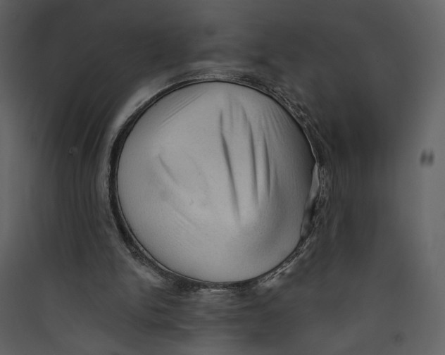 X0000089380150200707131705