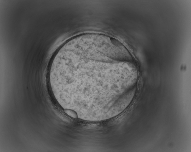 X0000089380151200707131705