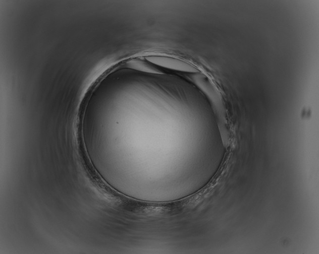 X0000089380152200707131705