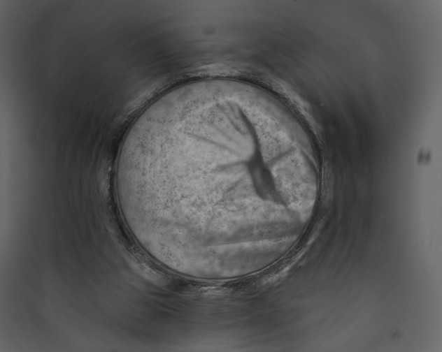 X0000089380153200707131705