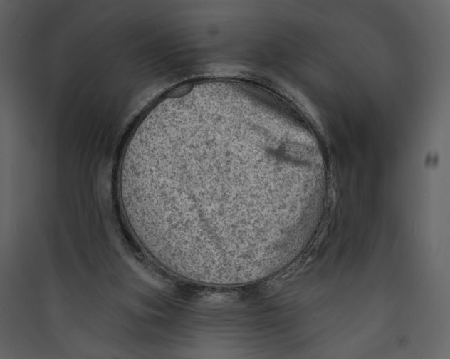 X0000089380155200707131705